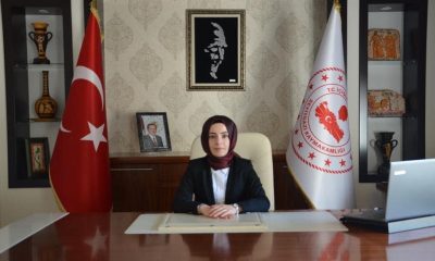 Seyitgazi Kaymakamı Baytak’tan ‘Seyitgazi’nin Kurtuluşu’ Mesajı