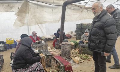 İnhisar Belediyesi Sera Üreticilerinin Yanında