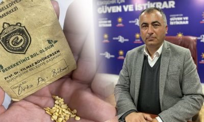 Tohum Bahane Reklam Şahane