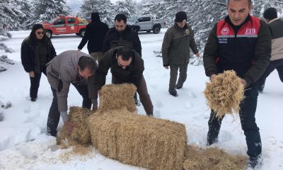 Sarıcakaya Yaban Hayvanlarını Unutmadı