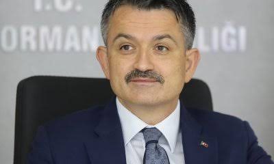 Pakdemirli İstifa Etti