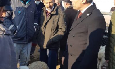 Öztürk Yılmaz İkinci Kez Hayvan Pazarında