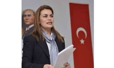 Sosyal Çalışmanın ve Kamuoyu Çalışmasının Başlatılması