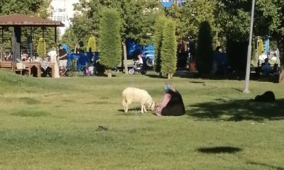 DEDE KORKUT PARKINDA GÜLÜMSETEN KARE