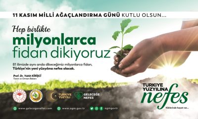 11 KASIM DÜNYA AĞAÇLANDIRMA GÜNÜ NE HAZIRIZ