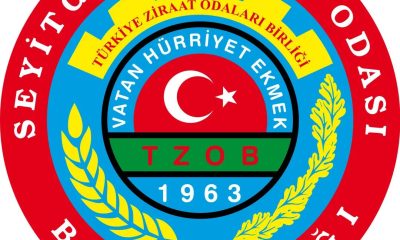 SEYİTGAZİ DE BİR GARİP İTTİFAK