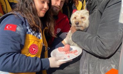 ESKİŞEHİR İL AMBULANS SERVİSİ EKİPLERİNDEN 100. SAATTE 3 MUCİZE BİRDEN