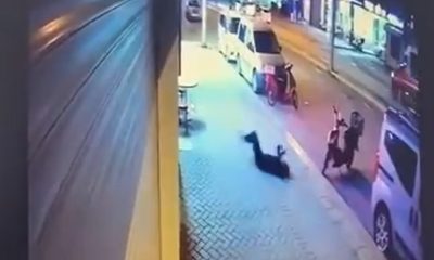 Camdan düşerek ölen kadının sevgiline ağırlaştırılmış müebbet hapis talebi