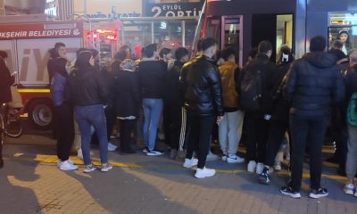 İKİ EYLÜL CADDESİNDE  İKİ KÖPEK TRAMVAY ALTINDA KALDI