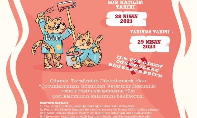 VETERİNER HEKİMLER ODASINDAN  RESİM YARIŞMASI
