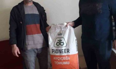 Çiftçilere yüzde 75 hibe destekli 500 kilogram ayçiçeği tohumu dağıtıldı