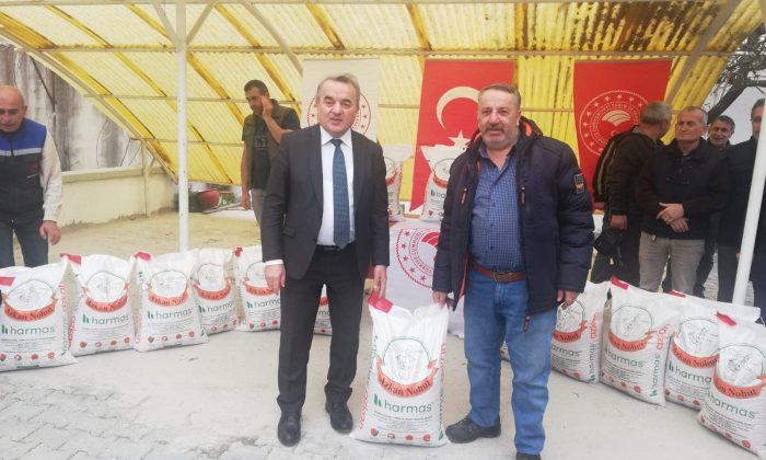 Çiftçiye nohut tohumu desteği