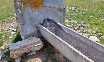 Kırka’da hayvanlar susuz kalmayacak