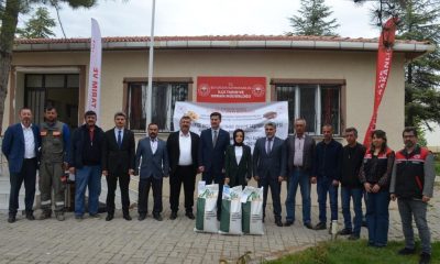 Beylikova ayçiçeğinde zirveye oynuyor