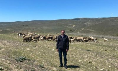 Keskin ve Eğriöz mahalleleri arasında mera sorunu