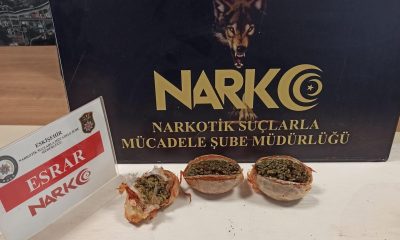 Salça bidonuna saklanan 412 gram esrar ele geçirildi