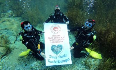 Çevre haftası çerçevesindeki dalış organizasyonu renkli görüntülere sahne oldu