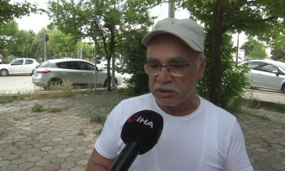 Başıboş sokak köpekleri site sakinlerini bezdirdi