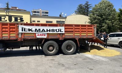 Eskişehir’de ilk mahsul Arpa açık arttırmayla rekor fiyata satıldı