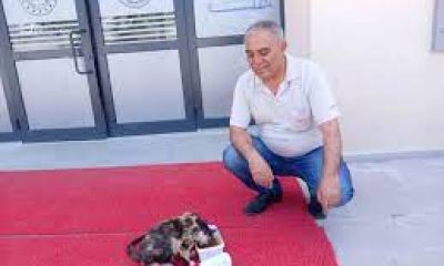 Sevimli kedi, Emirdağ Mithatpaşa Ortaokulu’nun bekçiliğini yapıyor