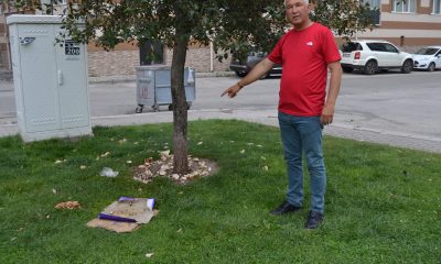 Böyle köpek besleme olur mu?