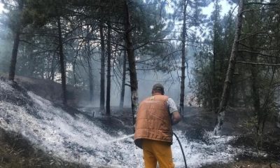 Bademlik tepesinde çıkan yangın söndürüldü