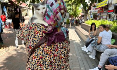 Sahibinin kucağında Eskişehir’i gezen Boncuk ilgi odağı