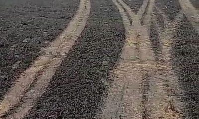 15 Dönümlük buğday tarlasının 13 dönümü kül oldu