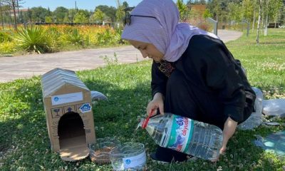 Eskişehir Ülkü Ocakları’ndan sokak hayvanlarına mama ve su desteği