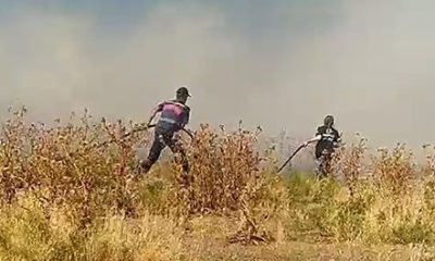 Ot yangını tarım arazilerine gelmeden söndürüldü
