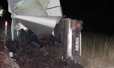 Emirdağ’da Devrilen kamyondan dökülen 3 ton Vişne Heba Oldu (Video Haber)