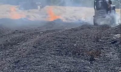 Seyitgazi’de 60 dönüm tarım arazisi yangında zarar gördü