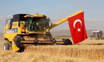 Hasat Mevsiminin Başlamasıyla İlgili Seyitgazi Ziraat Odası’nın Açıklaması