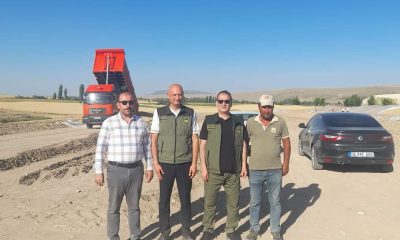 Seyitgazi’de TMO’ nun Hububat alımları devam ediyor