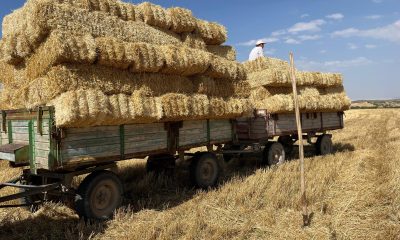 Eskişehir’de çiftçilerin saman mesaisi başladı