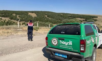 Girilmesi yasak ormanlık alanlara girenlere toplamda 40 bin TL ceza uygulandı