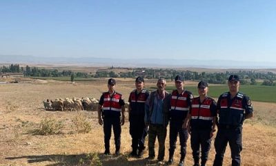 Dron destekli çalışma ile bulunan küçükbaş hayvanlar sahibine teslim edildi