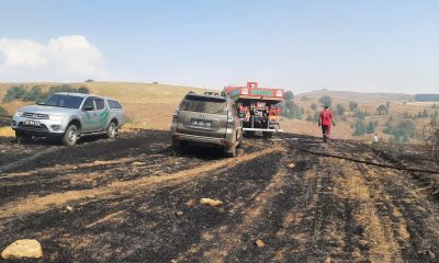 Anız yakılmasıyla tarlada başlayan yangın ormanlık alana sıçramadan söndürüldü