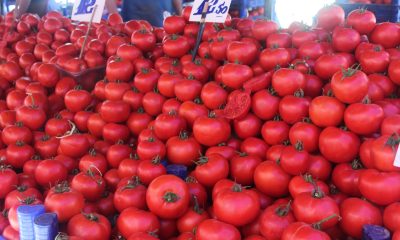 Yaz yemeği menemen vatandaşın vazgeçilmezi