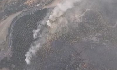 Eskişehir’de orman yangınına sabah saatlerinde yeniden havadan müdahale başladı (Video Haber)