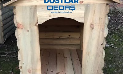 OEDAŞ Stevie Altın Ödülü’nün sahibi oldu