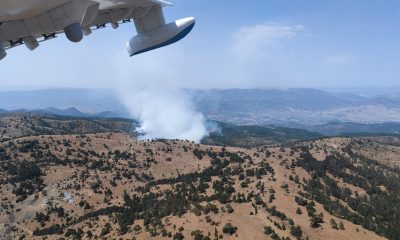 Alpu Yangını Nihayet Kontrol Altına Alındı