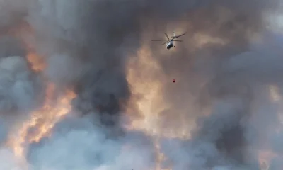 Seyitgazi’de çıkan orman yangınına havadan müdahale devam ediyor(Video Haber)