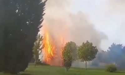 Parkta çıkan yangın itfaiye ekiplerince söndürüldü (Video Haber)