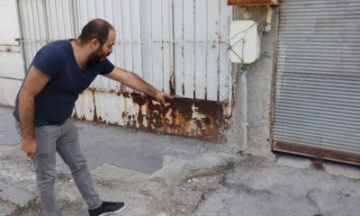 Odunpazarı Bölgesinde Fareler Meskenleri bastı
