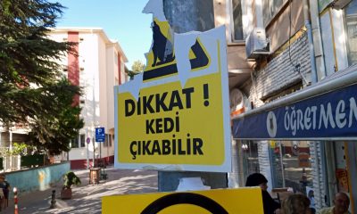 Vandallar hayvansever esnafın plastik uyarı levhasına göz dikti