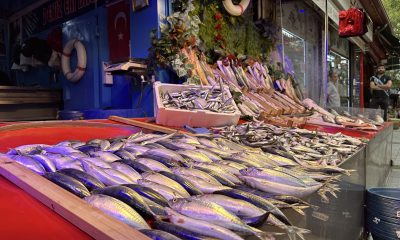 Balık sezonu açıldı tezgahlar renklenmeye başladı