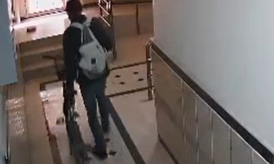 Bisiklet hırsızı güvenlik kameralarına yakalandı