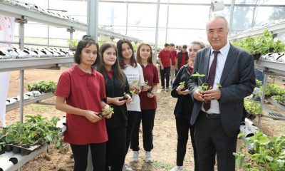 Sarıcakaya’da çilekler, topraksız tarım ve su kültürü tekniği ile yetişecek