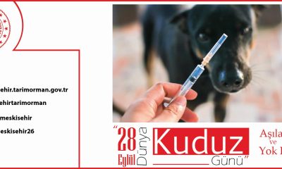 Kuduz hastalığına karşı Eskişehir’de 11 bin kedi ve köpek aşılandı